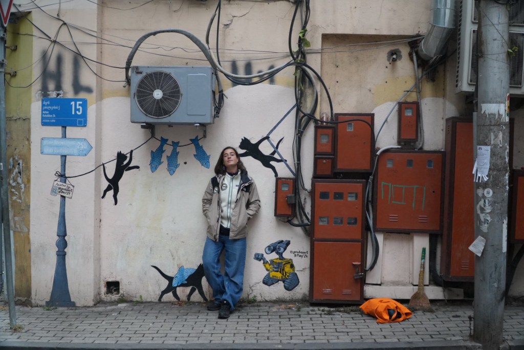 8ªETAPA: TURQUÍA –&nbsp;GEORGIA